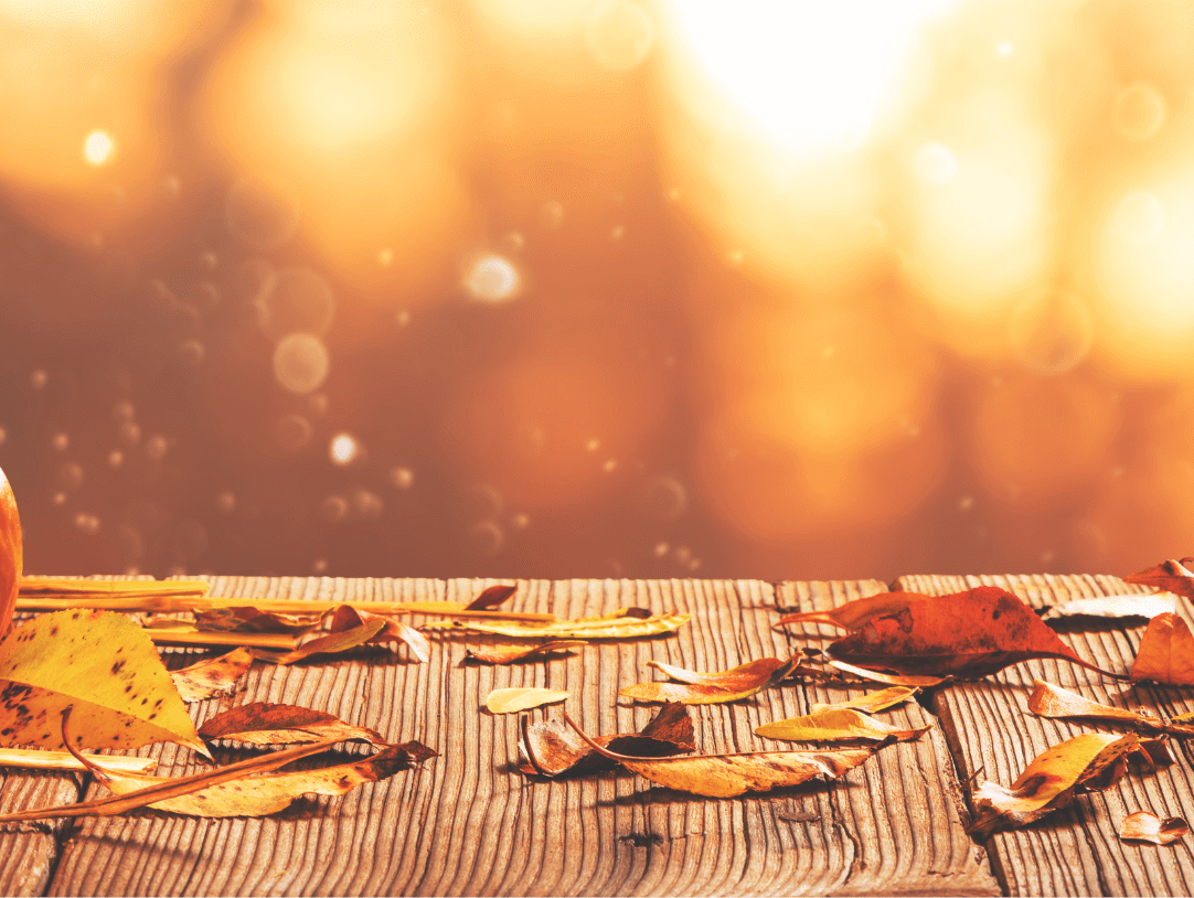 A festive autumn scene with vibrant pumpkins and colorful fallen leaves, perfect for a cozy Halloween vibe.