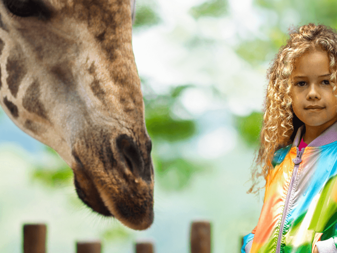 A stylish girl in a vibrant jacket smiles at a giraffe, embodying fun family adventures at the zoo.