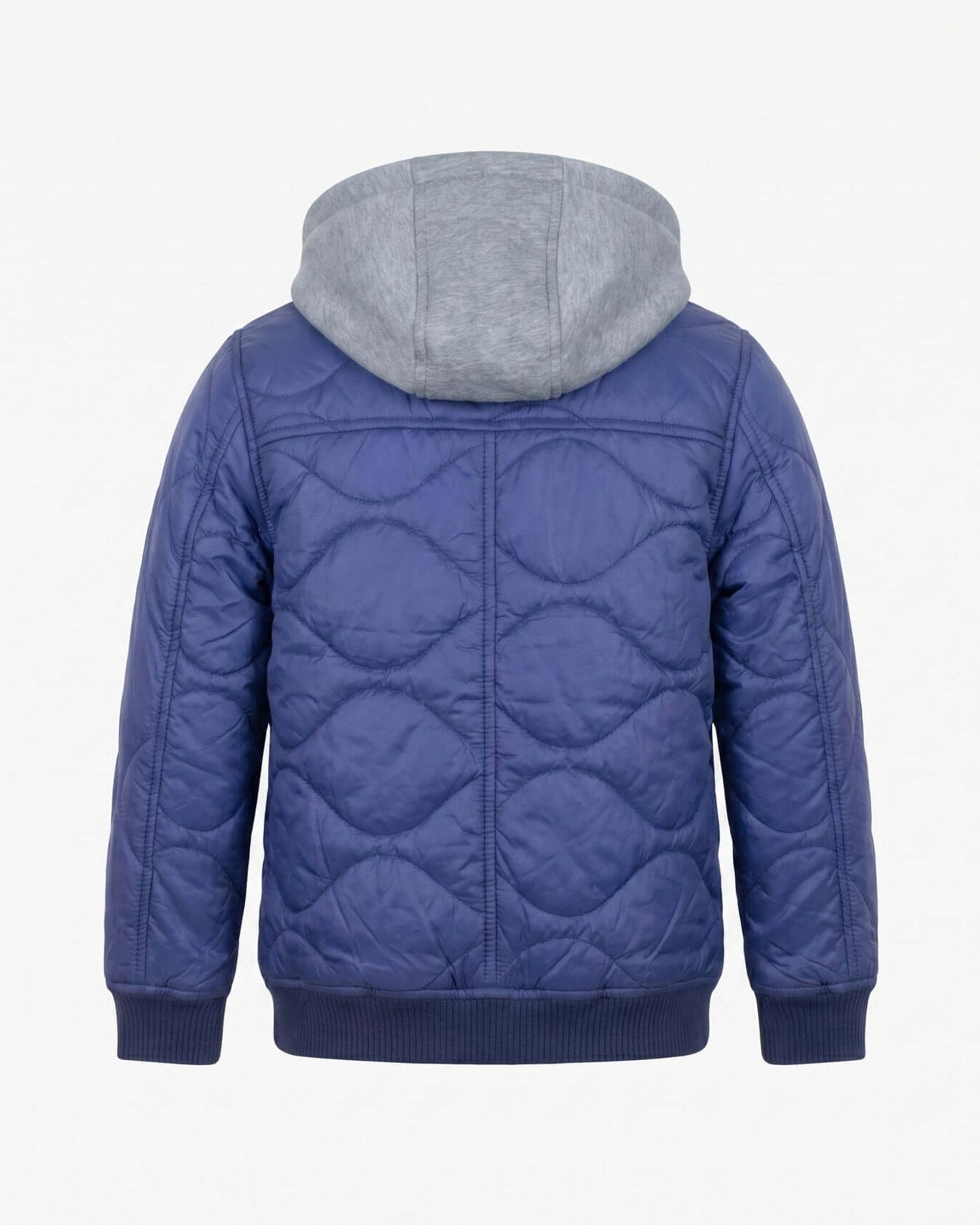 Blue quilted jacket with gray hood on a white background