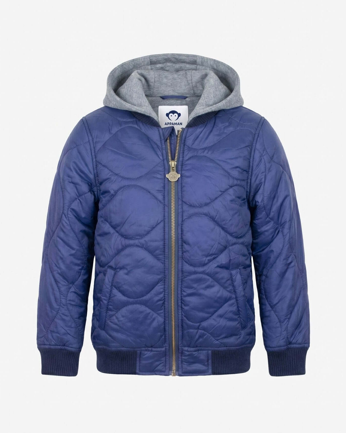 Blue quilted jacket with gray hood on a white background