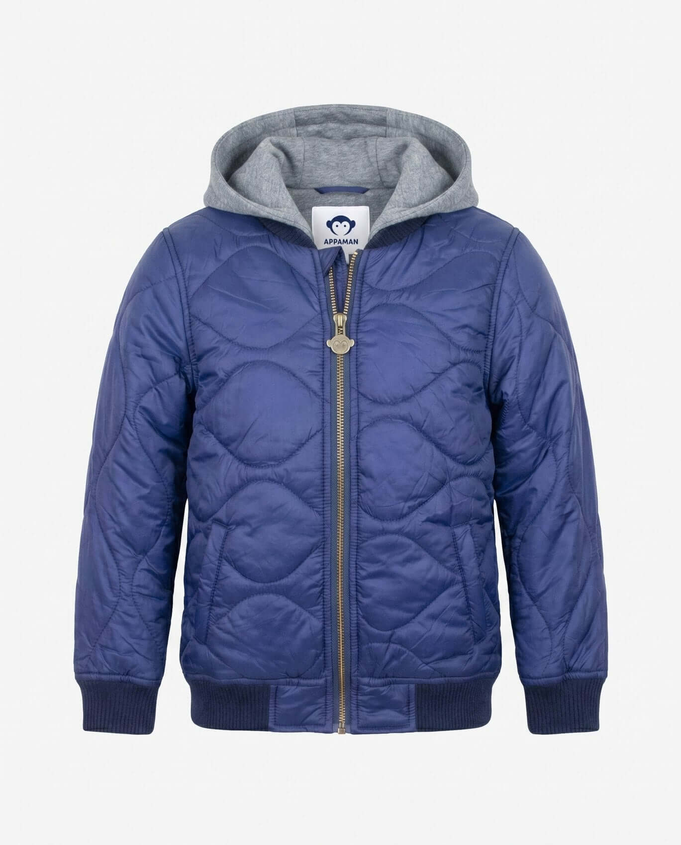 Blue quilted jacket with gray hood on a white background