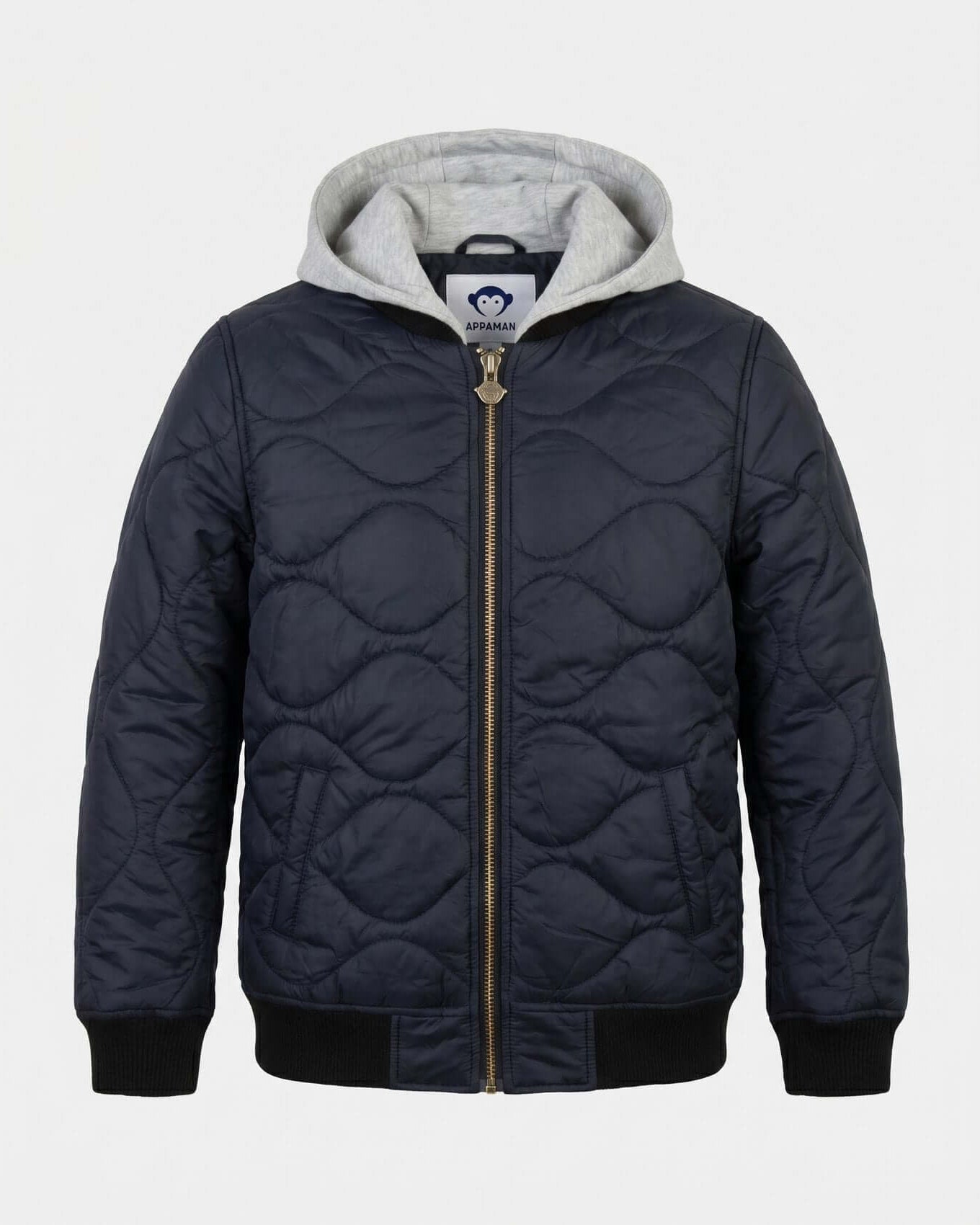 Navy quilted jacket with gray hood on a light gray background