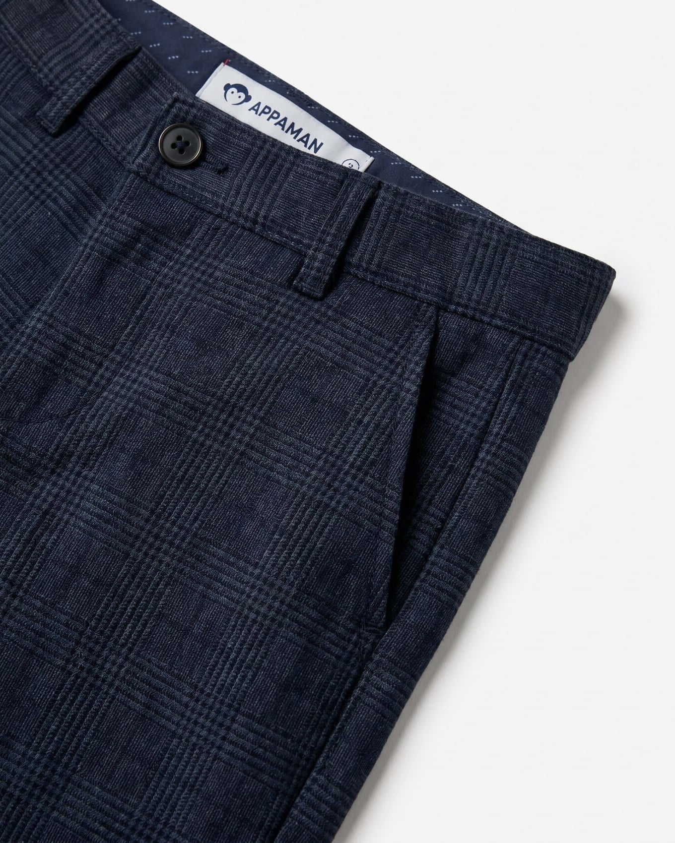 Close-up of navy plaid pants with Appaman label on a white background