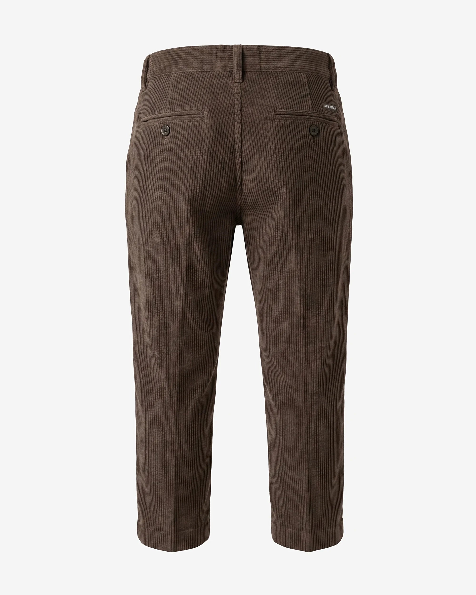 Mocha Suit Pants — back