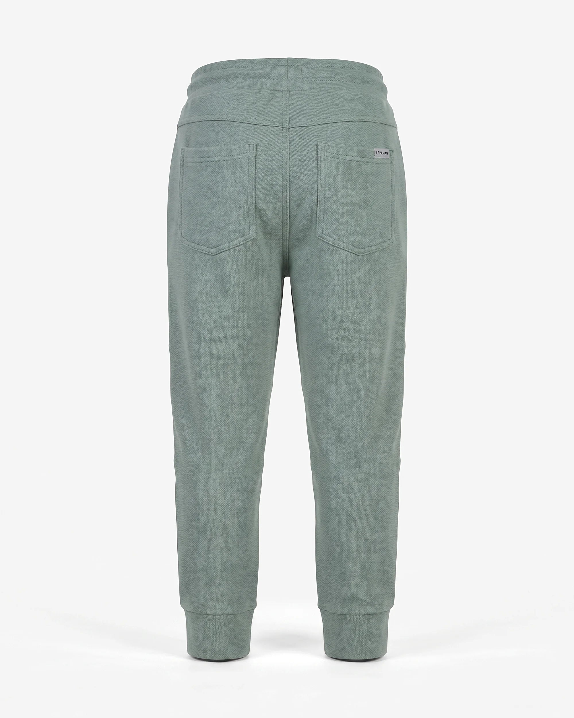 Sage Sideline Sweatpants — back