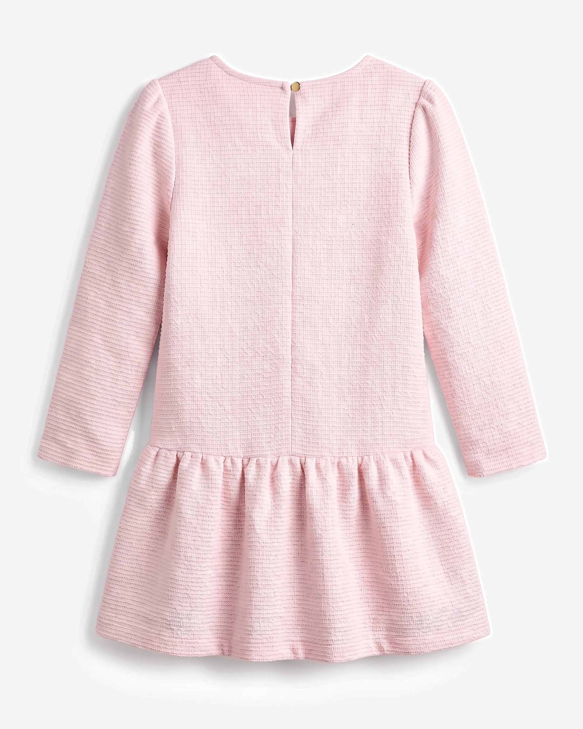 Pink Long Sleeve Drop Waist Dress — back