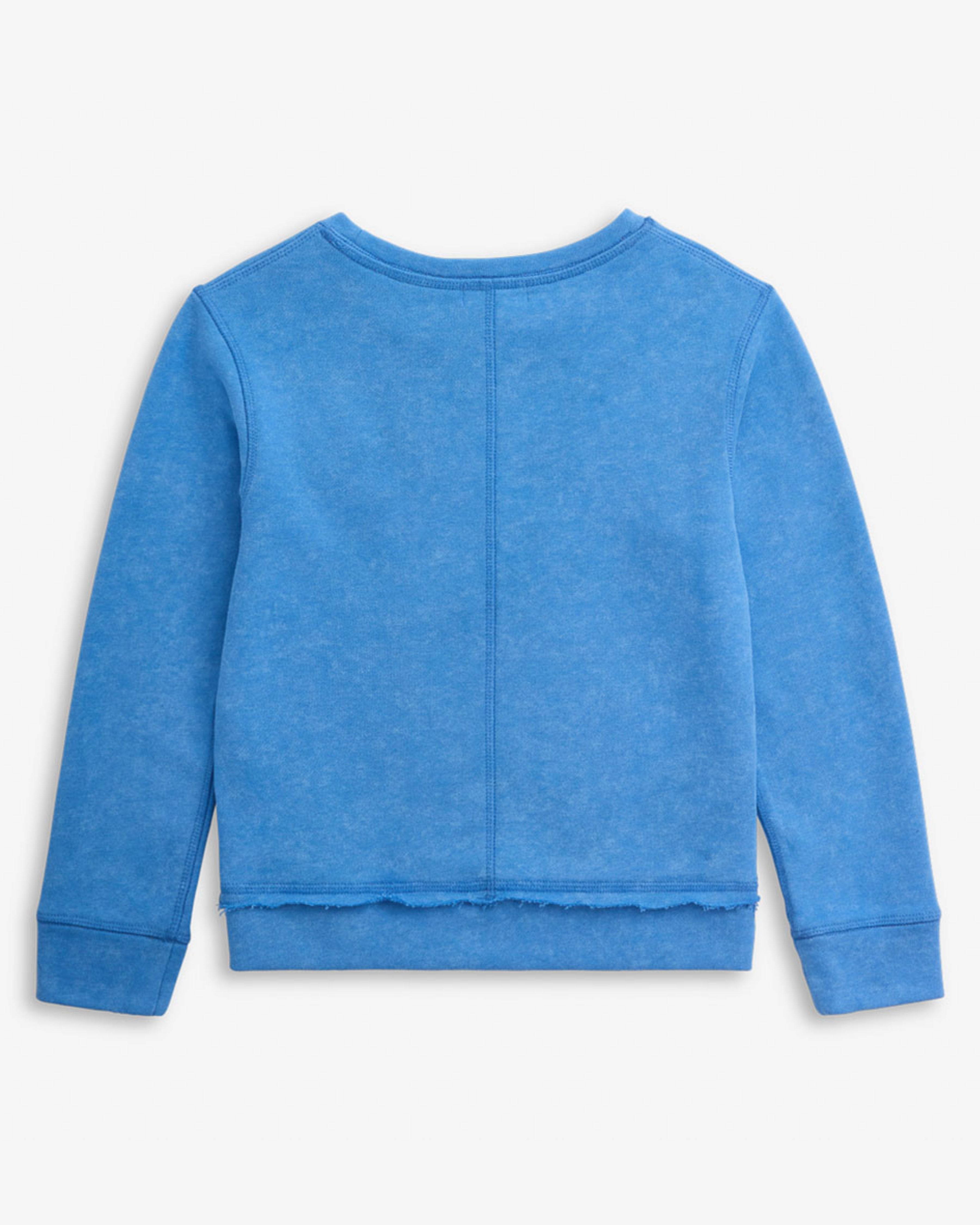 Back view of the Popsicle Highland Sweatshirt in washed blue, featuring a relaxed fit and soft finish.