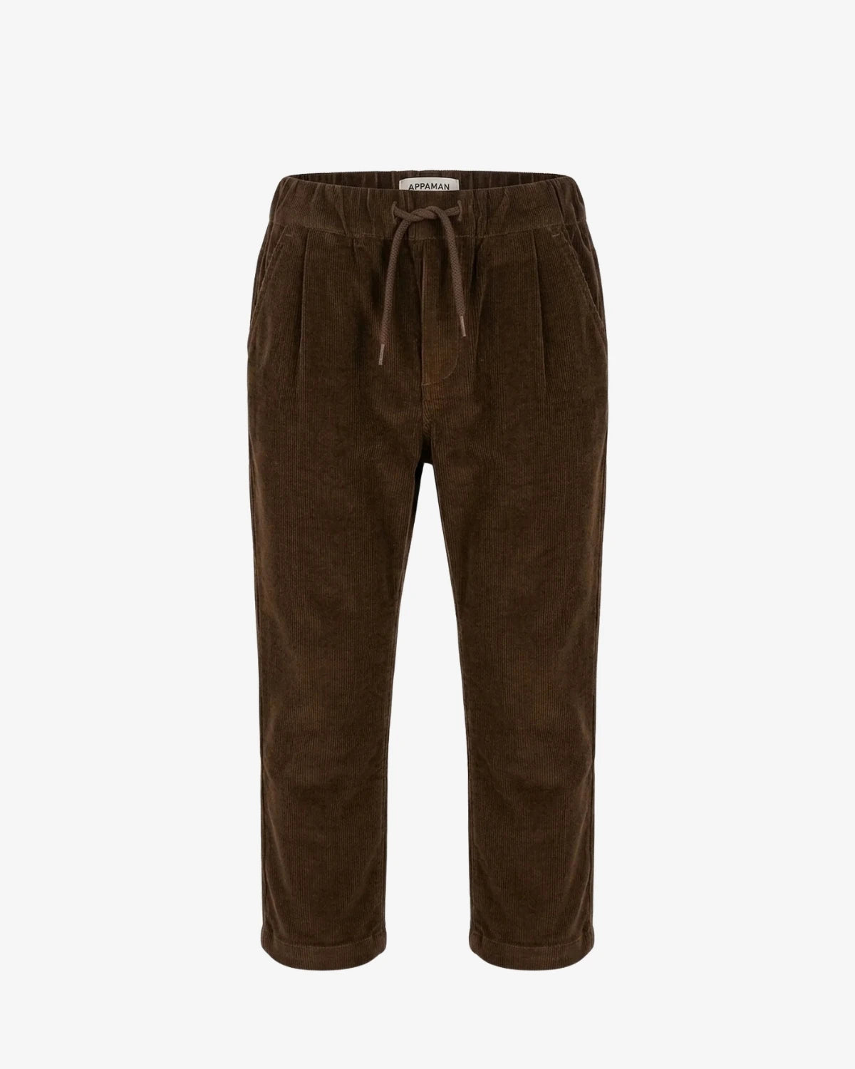 Appaman boys' pleated corduroy pant brown, front view.