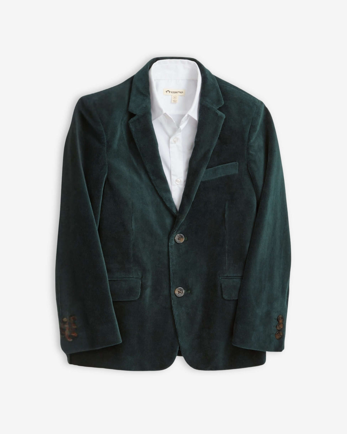 Evergreen Velvet Blazer in plush velvet with a sharp pocket square and sleek buttons.