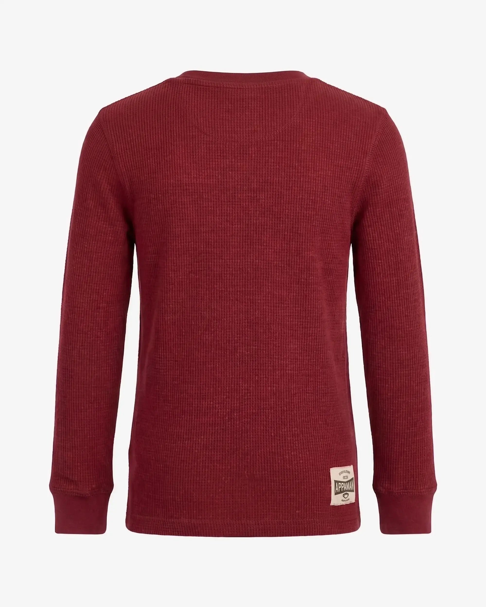 Dark Cherry Craftsman Thermal Henley — back