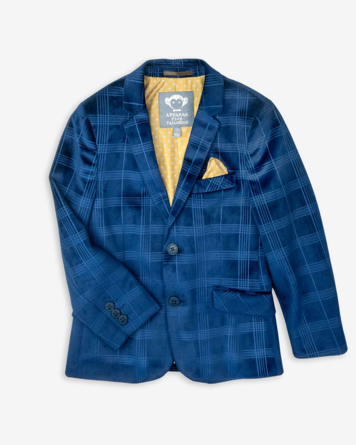 Boys Blue Velvet Suit Blazer Appaman - Main Image