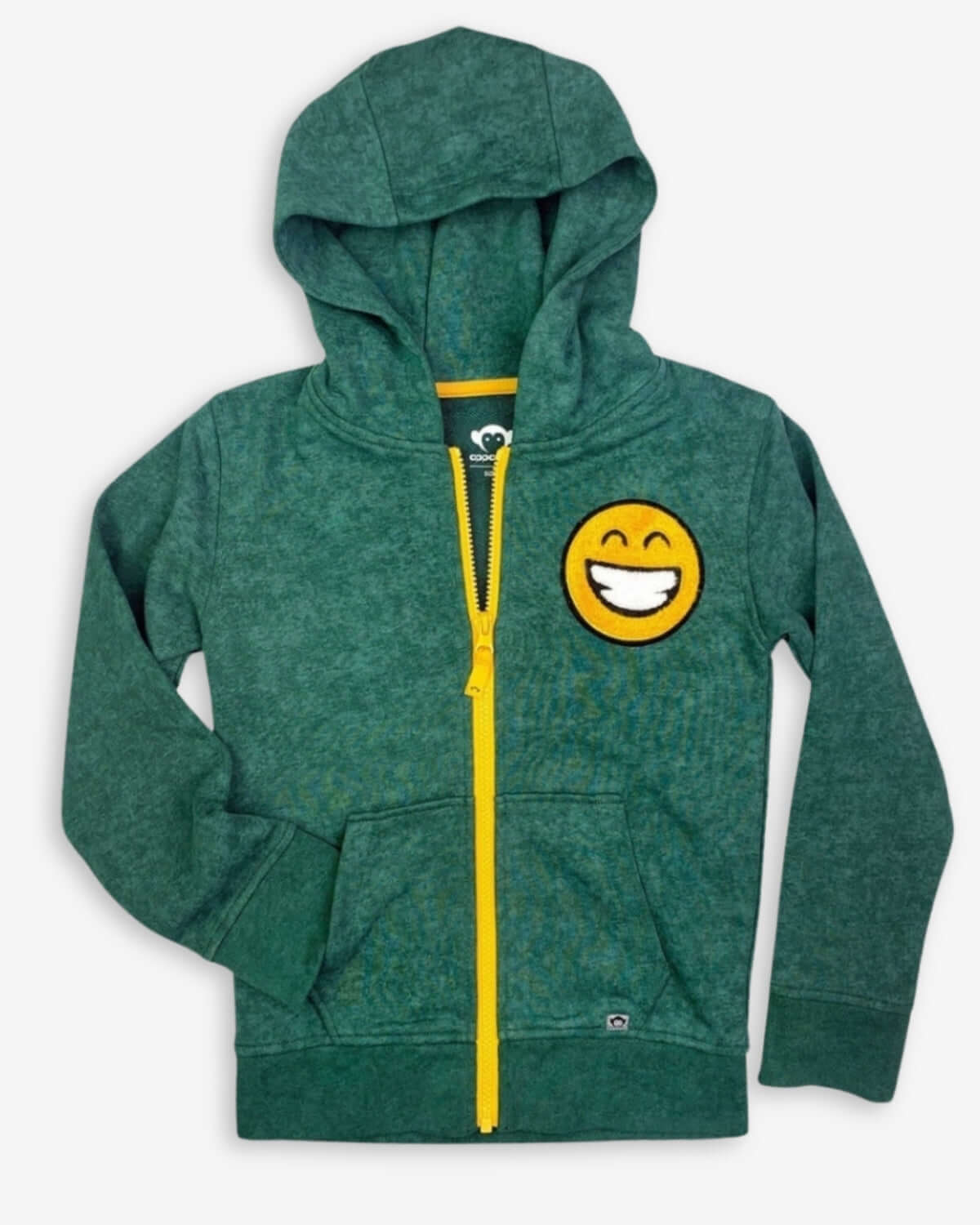 Boys Green Zip Up Hoodie | Appaman