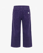 G0529-GCP0I1-HYC — back