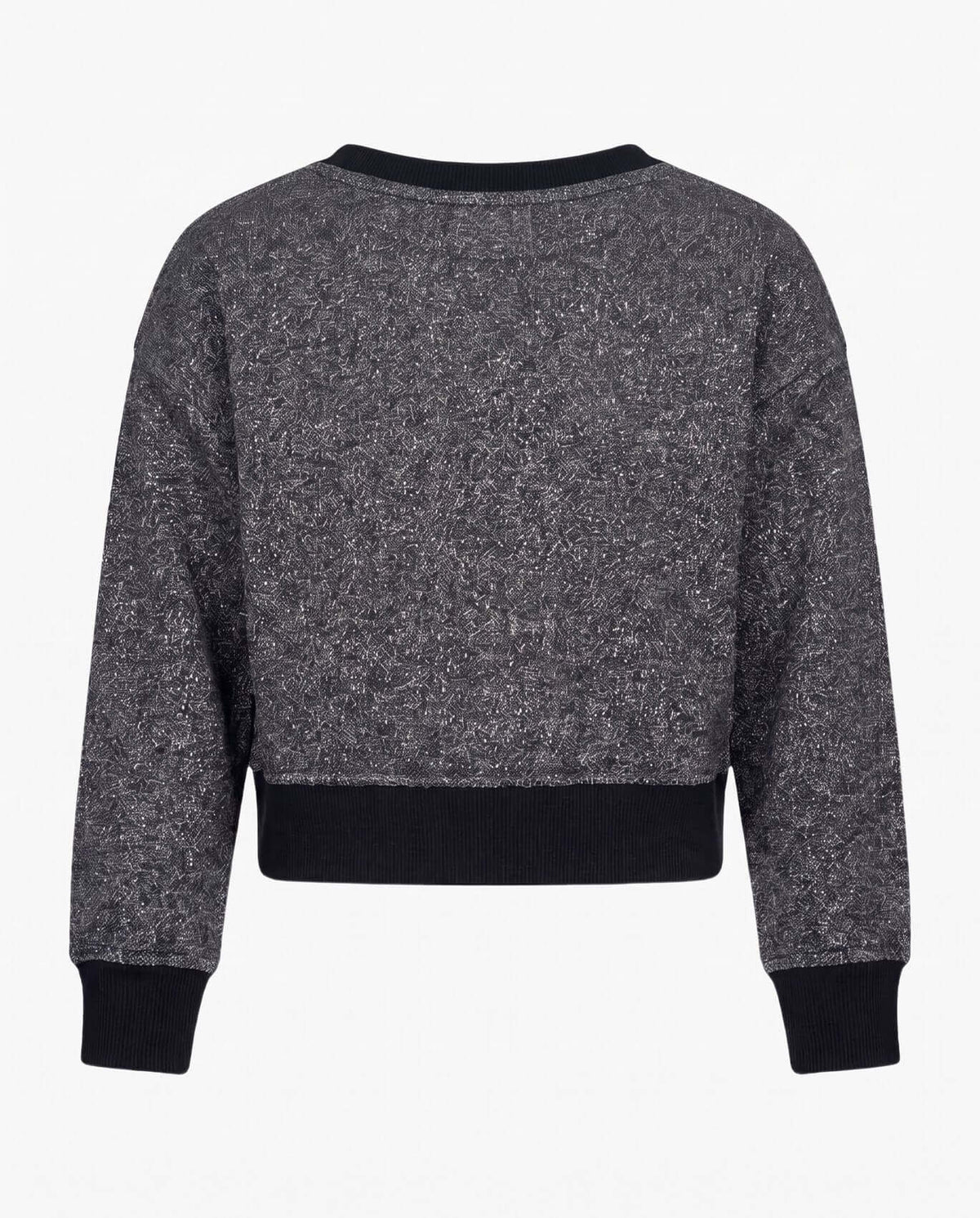 Back view of the Black Glitter City Sweatshirt featuring a soft fleece lining and ribbed hem.