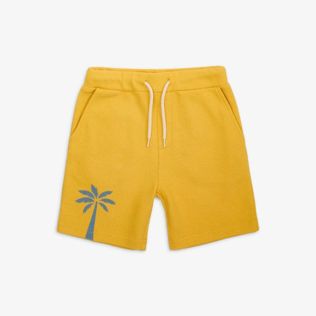 Resort Shorts | Palm Tree