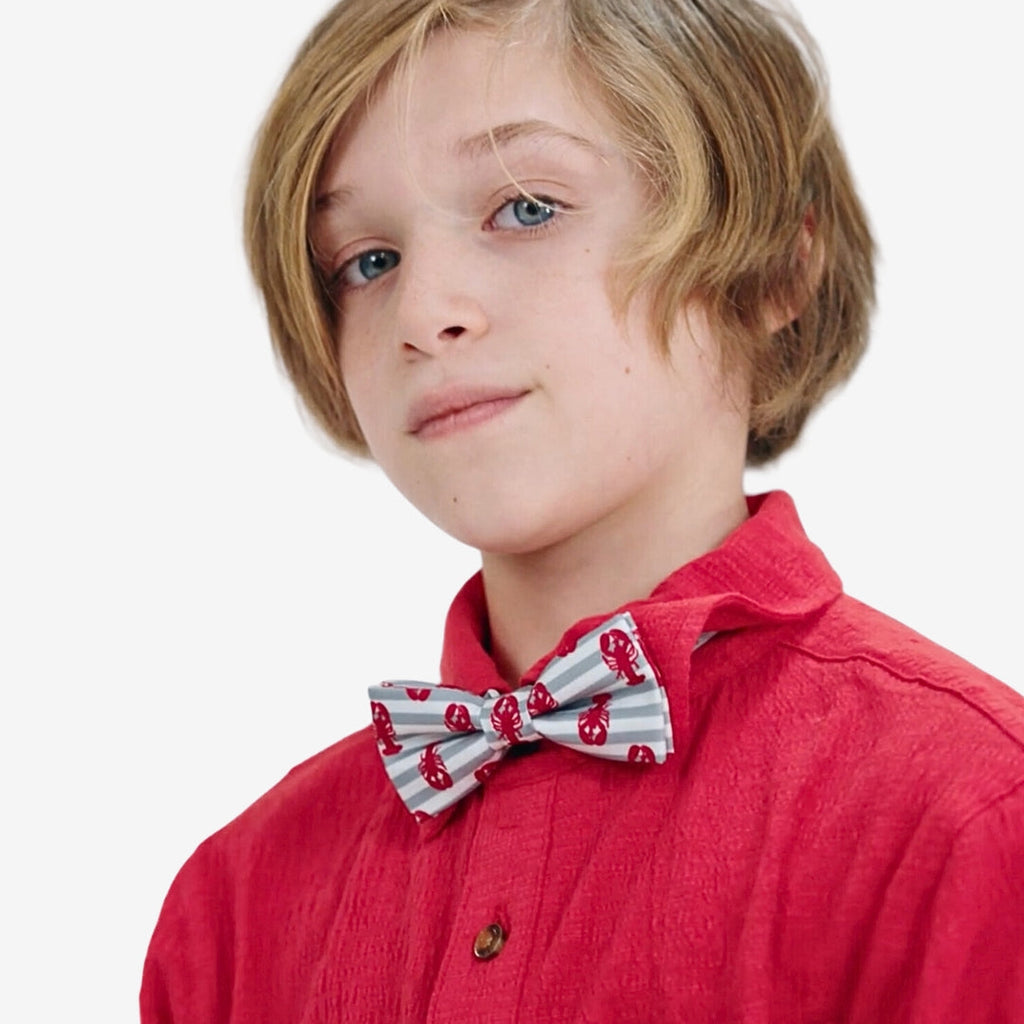 Appaman Best Quality Kids Clothing Boys Bow Ties Bow Tie | Lobster Stripe