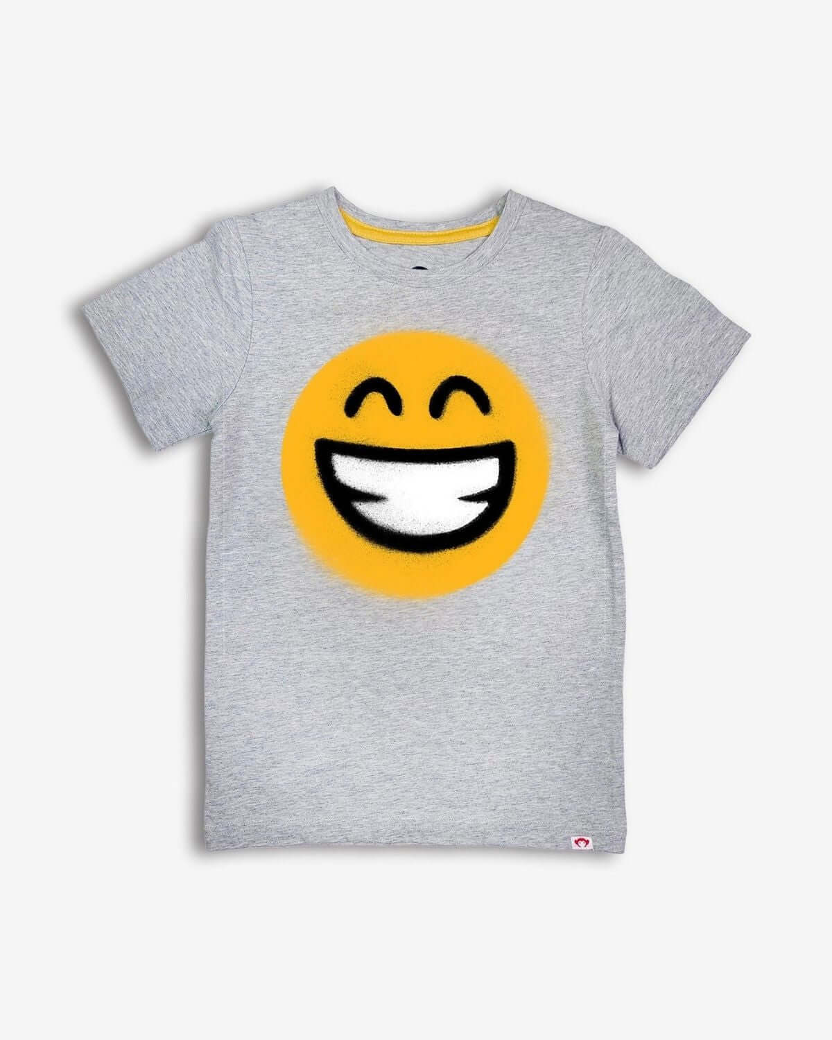 Boys Grey Short Sleeve Graphic Tee | Appaman Kids