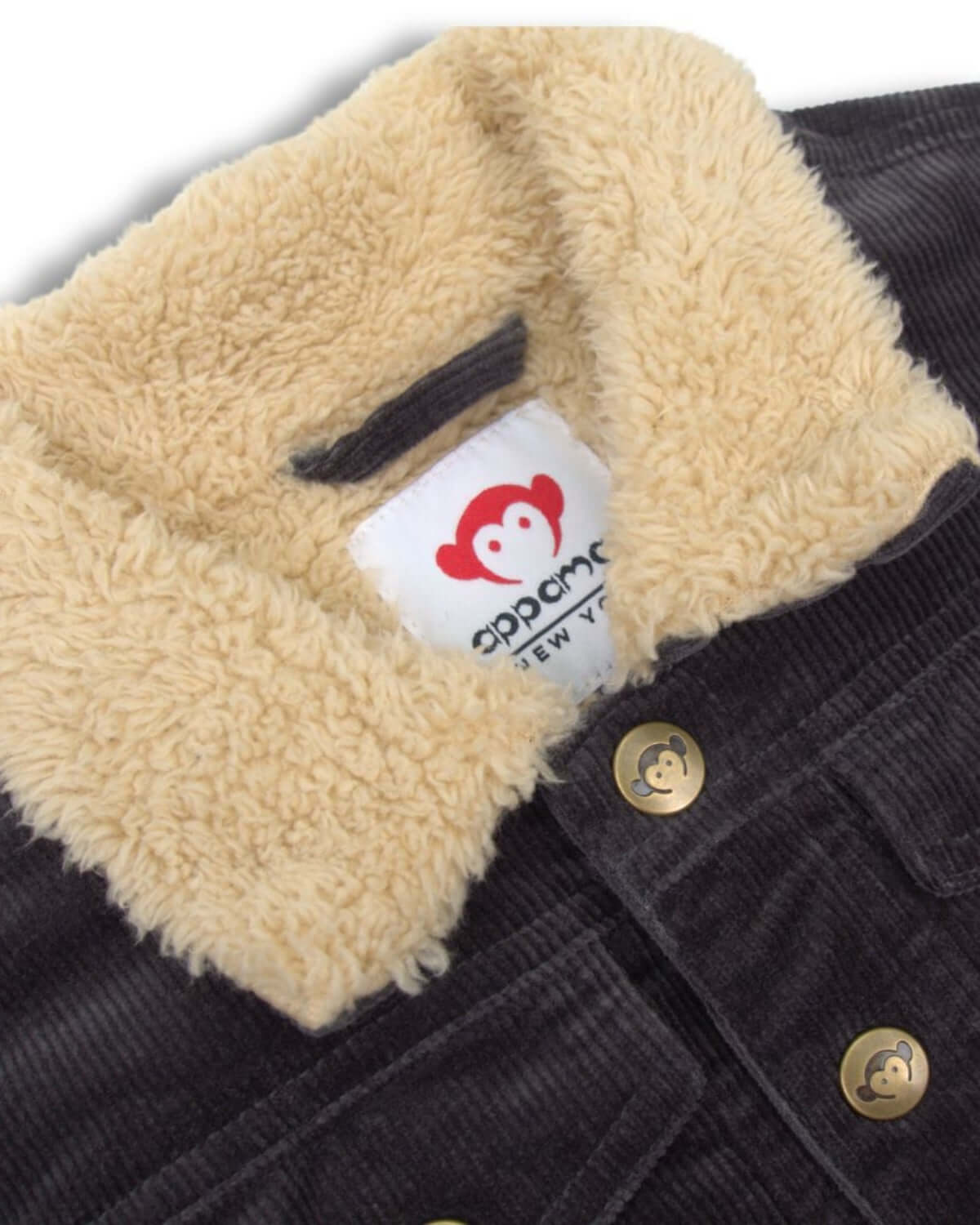 Boys Black Cord Jacket | Appaman