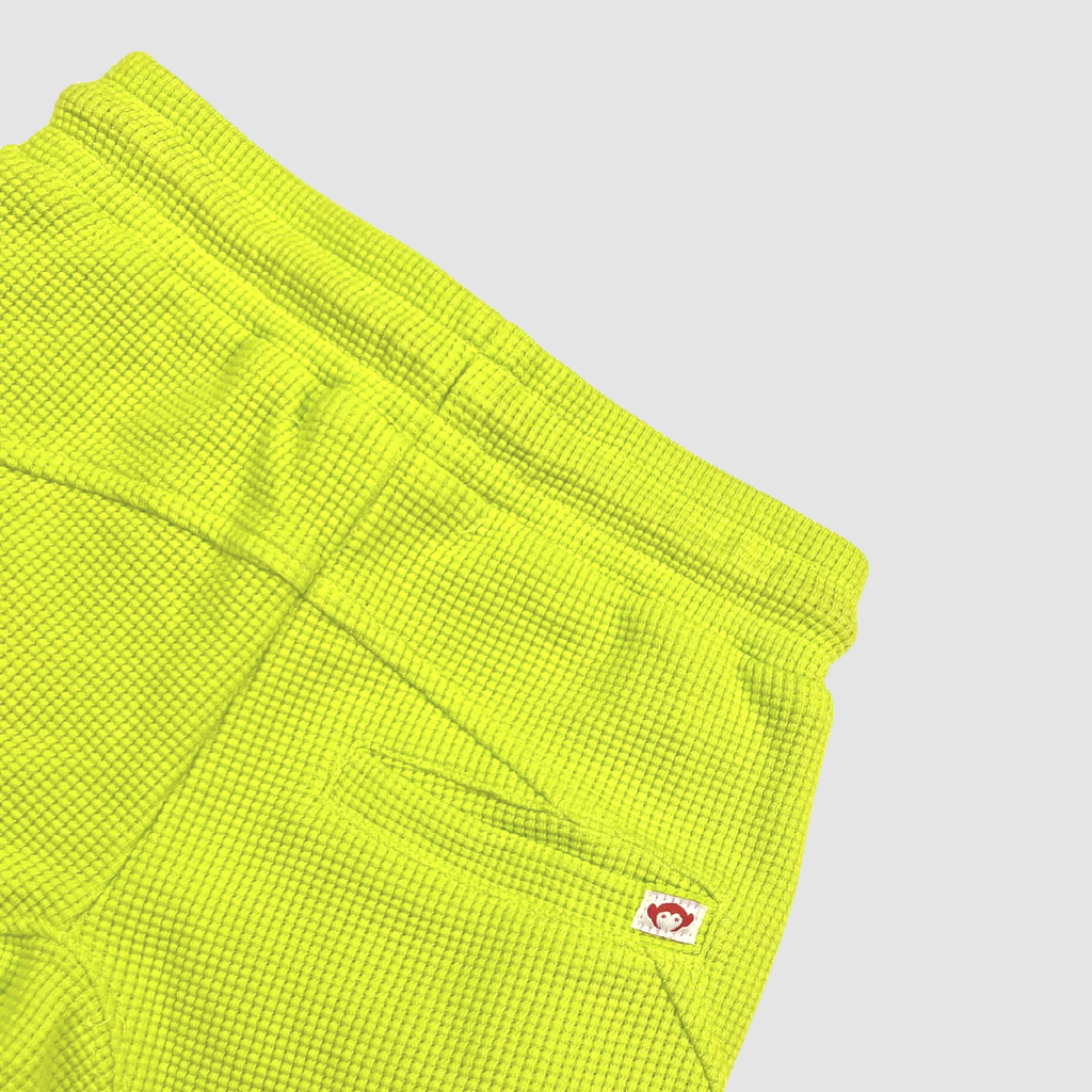 Appaman Best Quality Kids Clothing Boys Shorts Maritime Shorts | Lime Punch