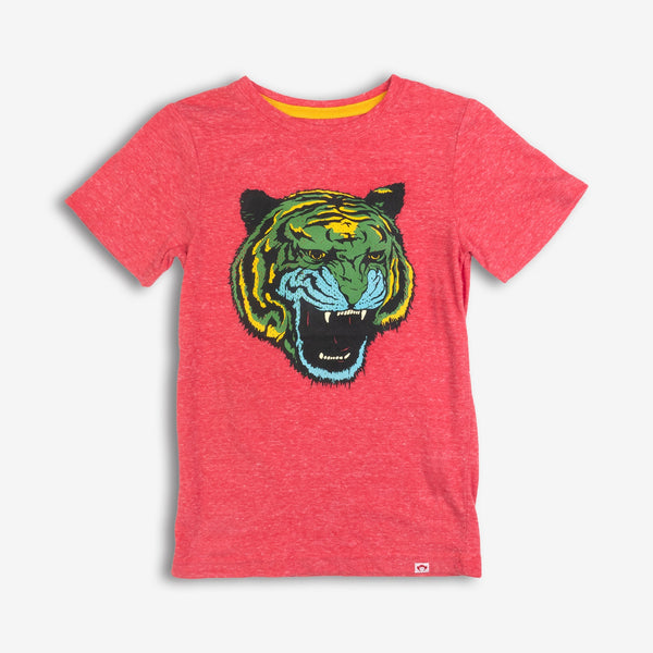 Appaman Best Quality Kids Clothing Graphic Tee | Roar